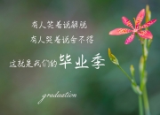 开云体育官网-南美铁骑的致命一击，厄瓜多尔如何用防守反击在2026世界杯A组生死战中绝杀智利