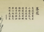 开云体育登录-致命一击，阿方索·戴维斯改写A组命运，厄瓜多尔在2026世界杯上演绝地反击