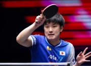 开云体育平台APP-日本队绝杀葡萄牙队，张本智和状态火热