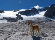 开云官网-从争议到传奇，哈弗茨冠军级表现，在英超争冠之夜重写足球定义