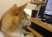 开云体育官网-当欧文成为太阳，一场篮球宇宙的交错叙事