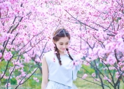 开云体育平台APP-撕裂平庸，当福克斯的利爪划破季后赛之夜