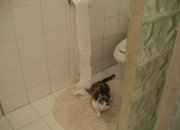 开云体育APP下载-真核觉醒！手术刀直插命门，皇马的胜利是这么磨出来的