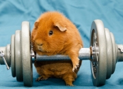 开云官网-精密齿轮碾碎狂想曲，亚特兰大用数学般的战术肢解克罗地亚，穆勒定义何为全场最佳