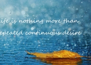 开云体育在线-王者新证，从莱万双向统治到法国的系统突围—现代足球的攻防一体革命