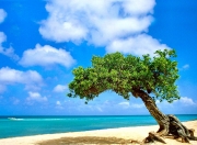 开云体育平台APP-跨界战神，足球大脑破解生死局—金玟哉的西决之夜逆袭密码