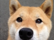 开云体育官网-西甲国家德比之夜，当幽灵脚踝霍勒迪主宰比赛走向