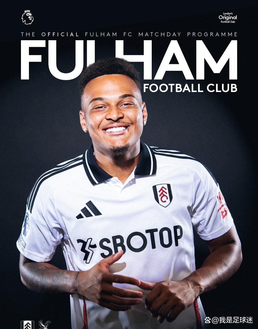 关于富勒姆客场不败,暂时避免降级危机的信息 关于富勒姆客场不败,暂时避免降级危机的信息