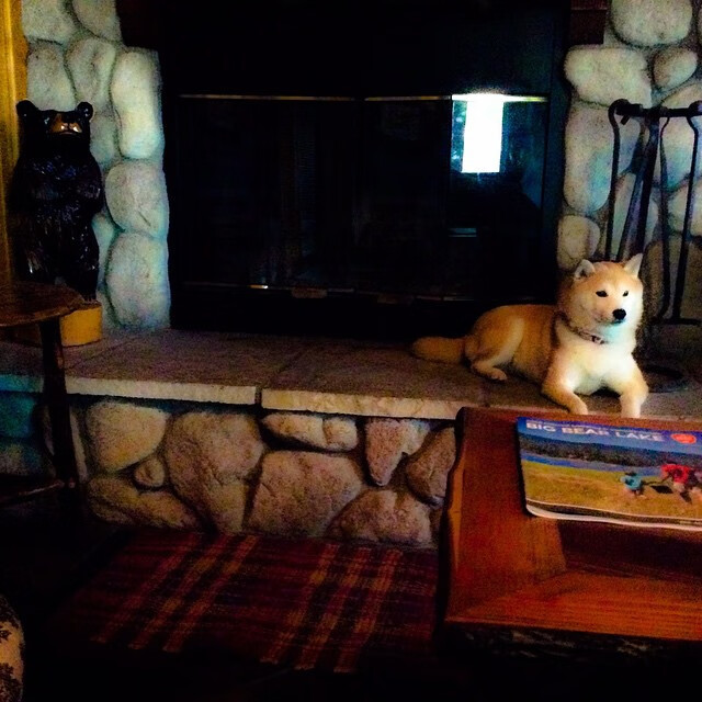 德甲争冠战之夜，马丁内利全场最佳无争议，一己之力改写冠军归属