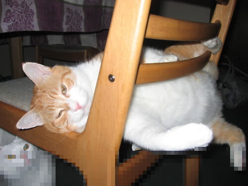 我为你构思了几个不同角度的标题，供你选择