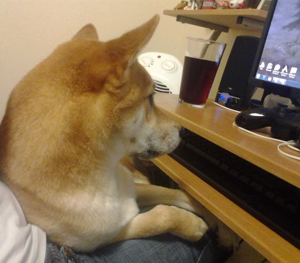 当欧文成为太阳，一场篮球宇宙的交错叙事