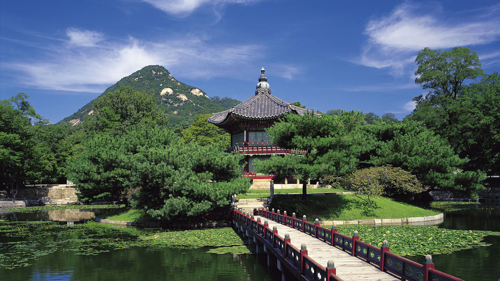 戈贝尔在最后一圈接管比赛，当黄蜂横扫国王时，他把篮球场变成了自己的F1赛道