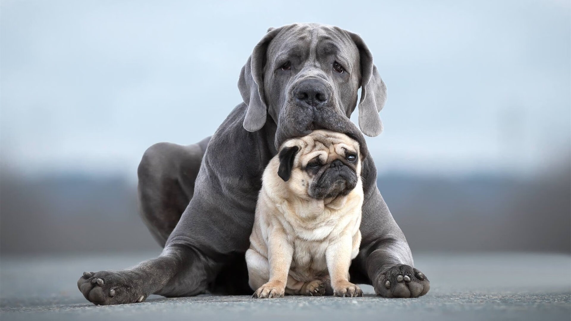 亚洲之光闪耀罗马！三笘薰两传一射率队压制哥伦比亚