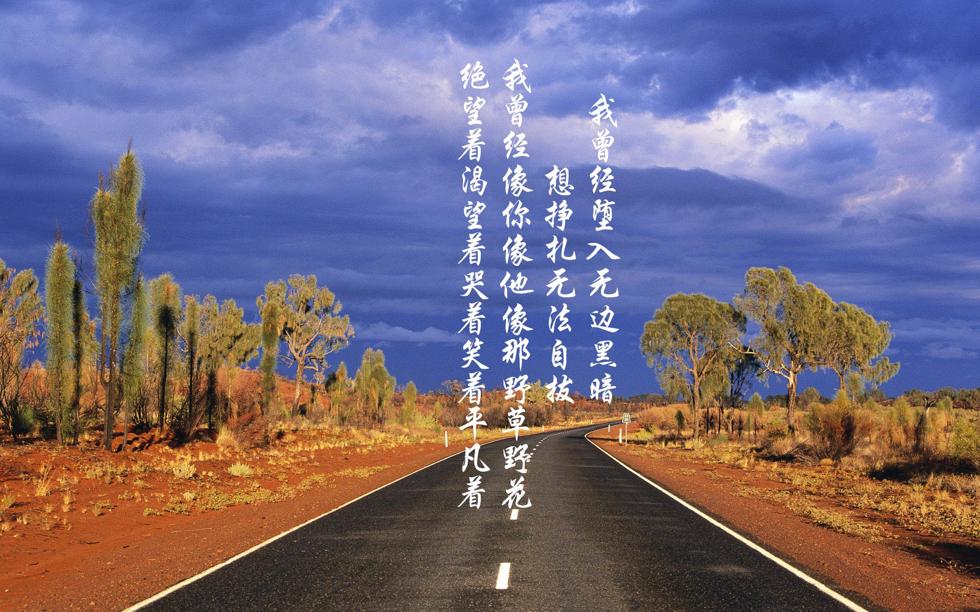 冰封与烈焰,当皇家社会的战术铁壁,遇上德布劳内的天才闪光