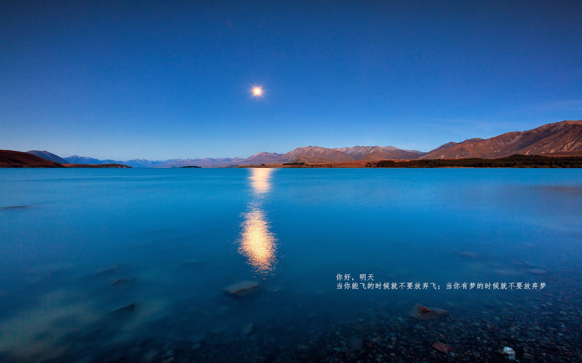 奥纳纳神勇扑救，加纳淘汰赛力克希腊晋级