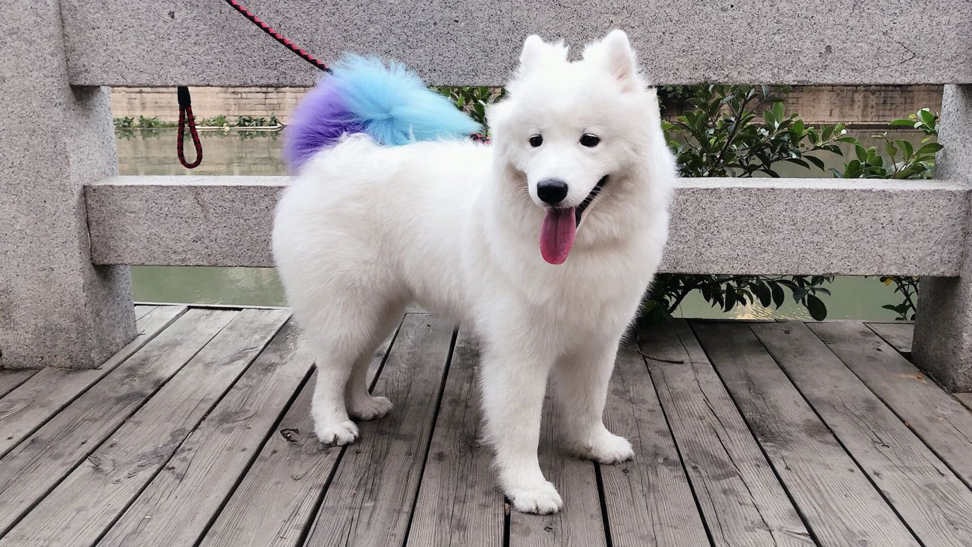 俯视与仰望,鹈鹕横扫雷霆,改写格局的年度焦点之战