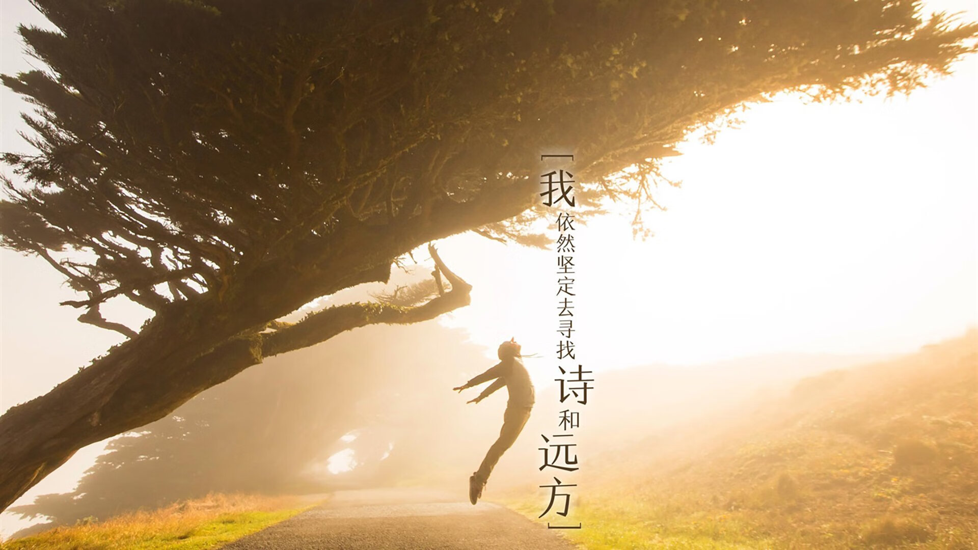 当欧冠夜色浸透草皮，久保建英在所有人的表盘上按下暂停键