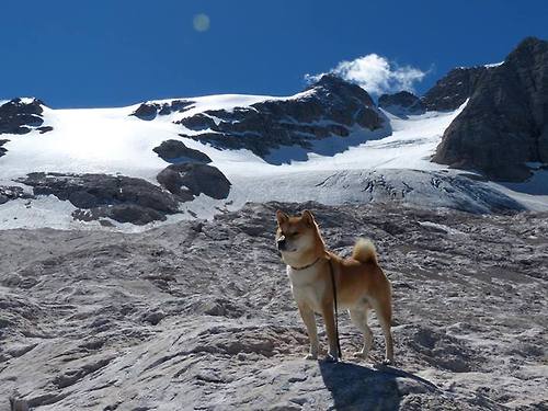 唯一性双星闪耀,本泽马的无解迷宫与丹麦的完美拼图