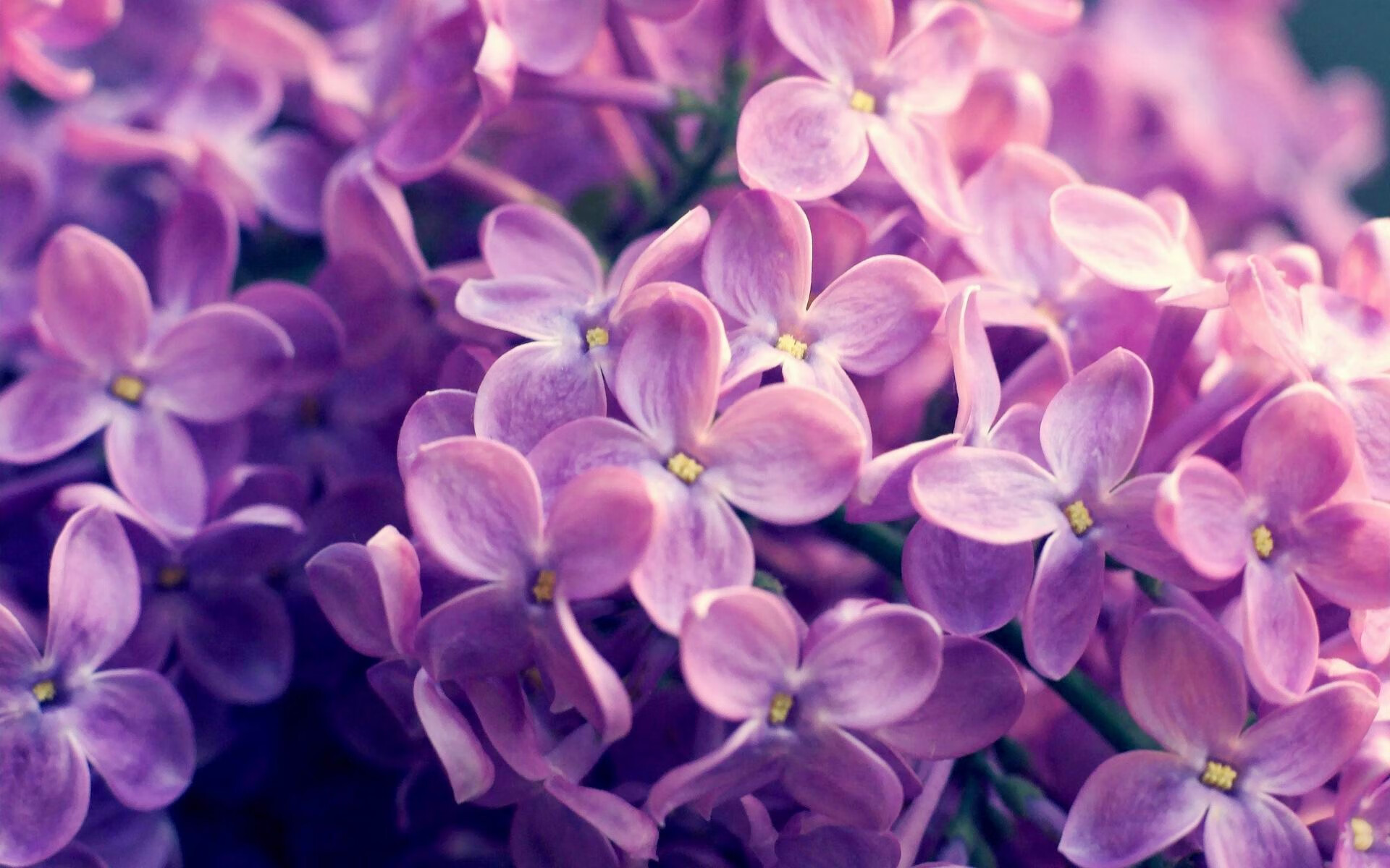 浓眉隔空制胜,关键一防如何让快船提前终结热火悬念?