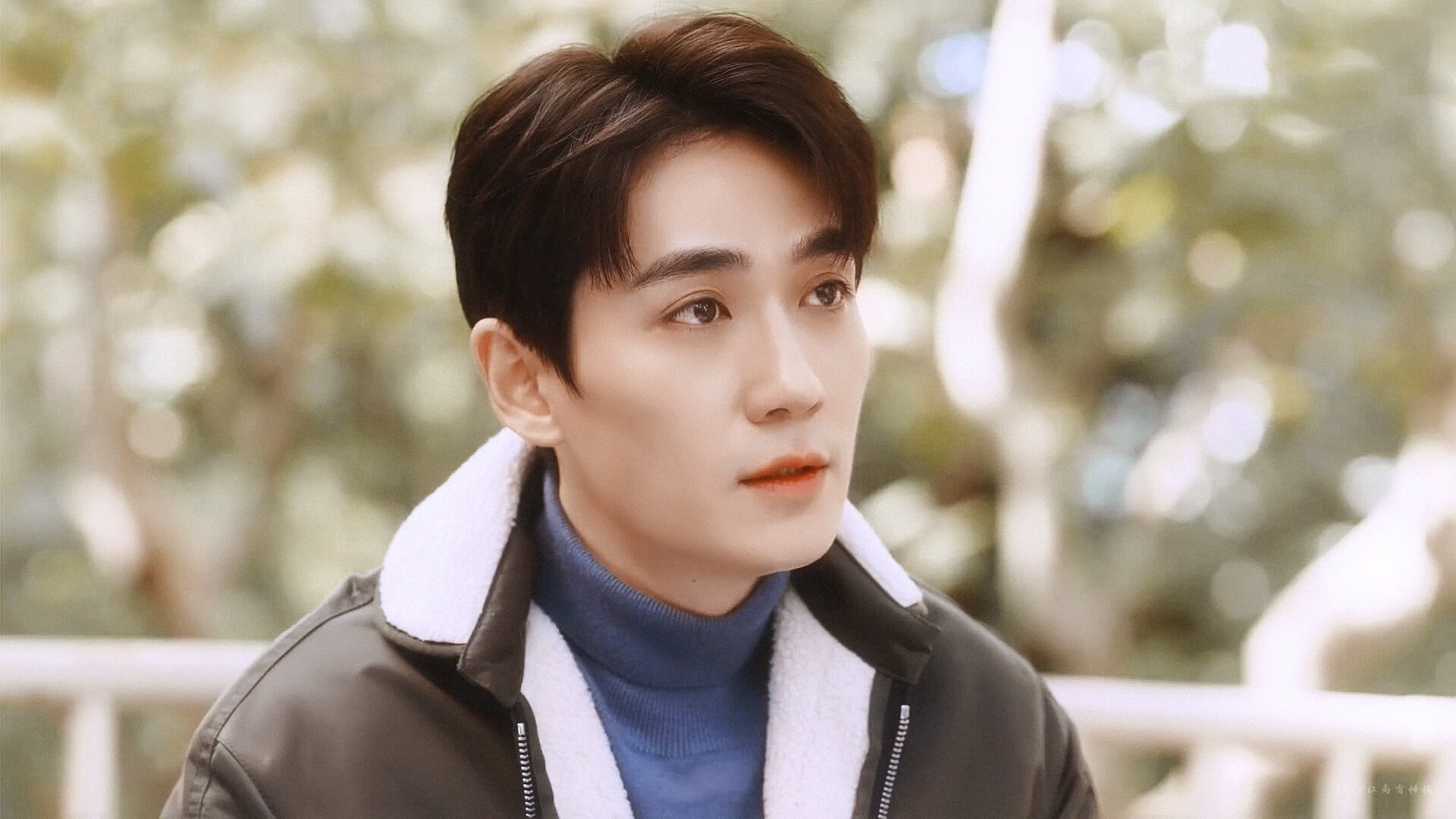 王朝的对角线，当灰熊的利爪嵌入骑士的铠甲