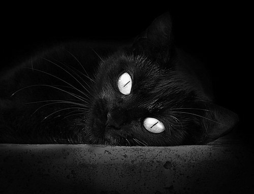 王座之争,哈登用魔鬼步伐撕裂76人防线,他就是为战火而生的国王