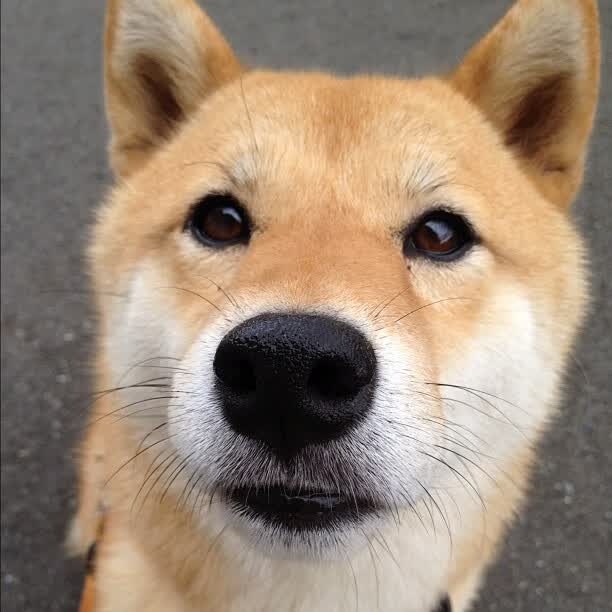 西甲国家德比之夜，当幽灵脚踝霍勒迪主宰比赛走向