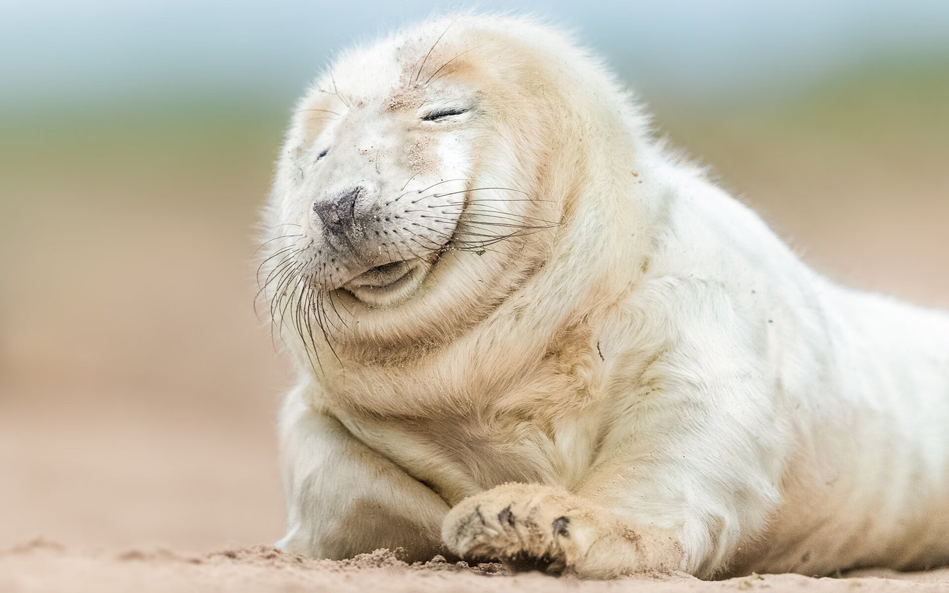 绿茵启示录，当苏格兰的实用主义遇见卢卡库的暴力美学