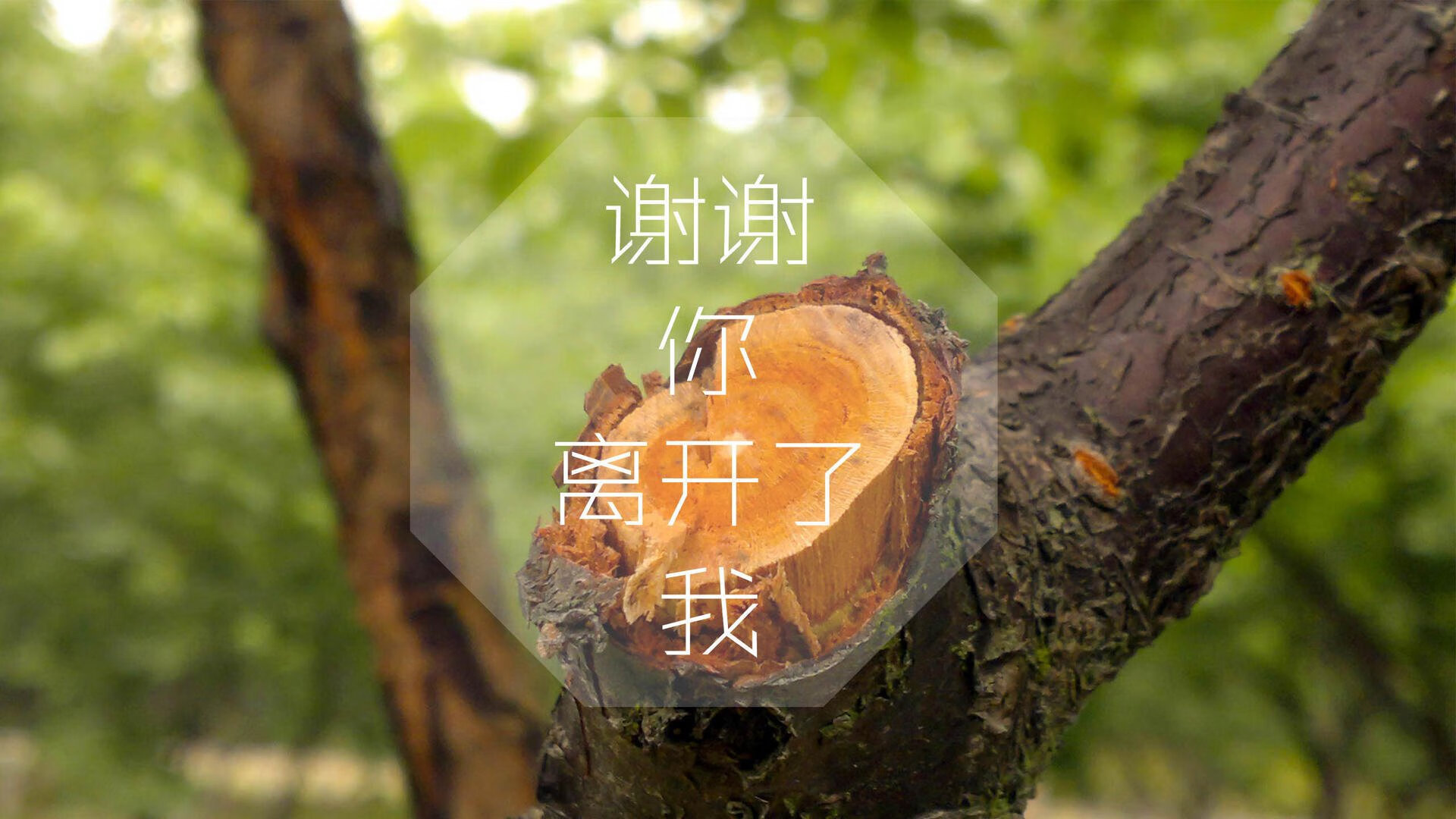 决胜时刻，2026世界杯淘汰赛，墨西哥绝杀阿根廷，迪亚斯铸就永恒传奇