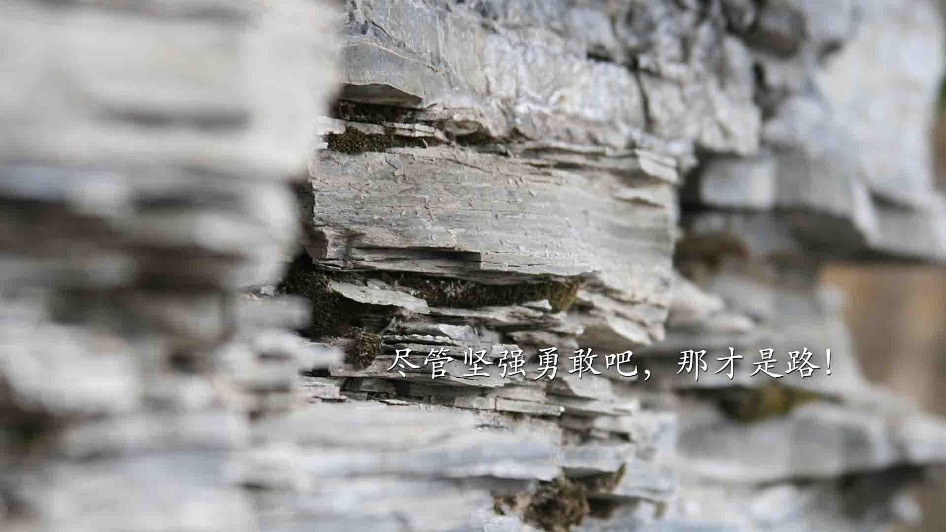 蓝白风暴中的孤岛，2026世界杯A组，智利如何用钢铁防线与节奏压制撕裂澳大利亚，而梅西在时间缝隙中写下不朽诗篇