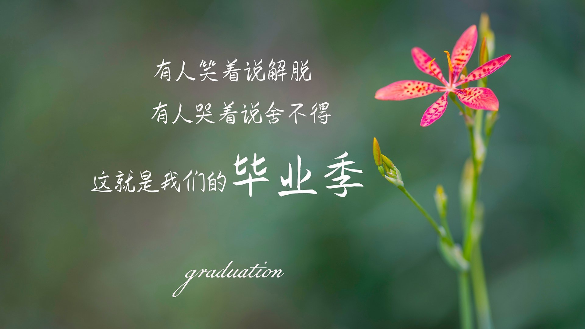 南美铁骑的致命一击,厄瓜多尔如何用防守反击在2026世界杯A组生死战中绝杀智利