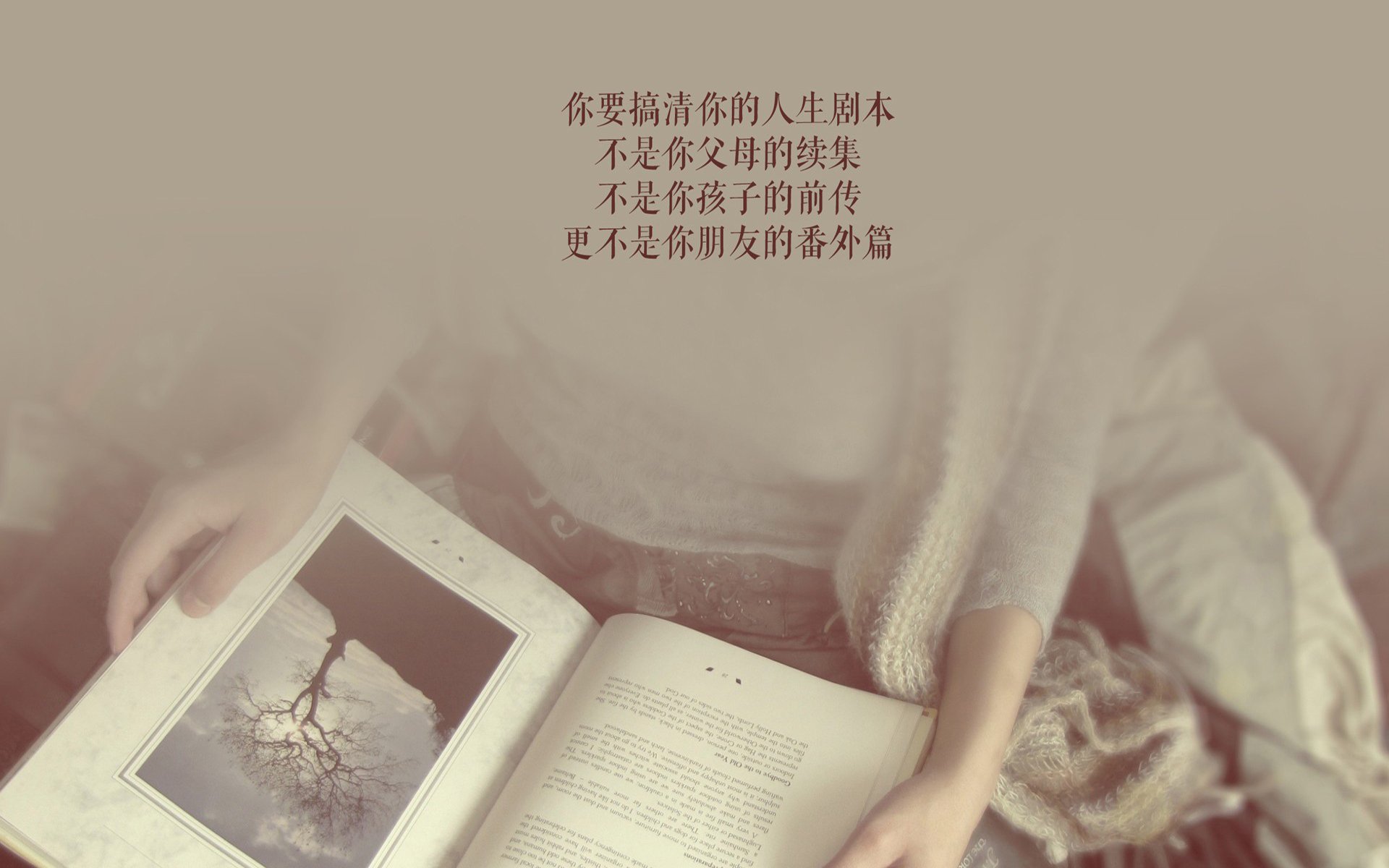 荒漠与寒冰的交锋，2026世界杯B组，伊朗铁骑踏碎北欧神话，贝林厄姆独舞成王