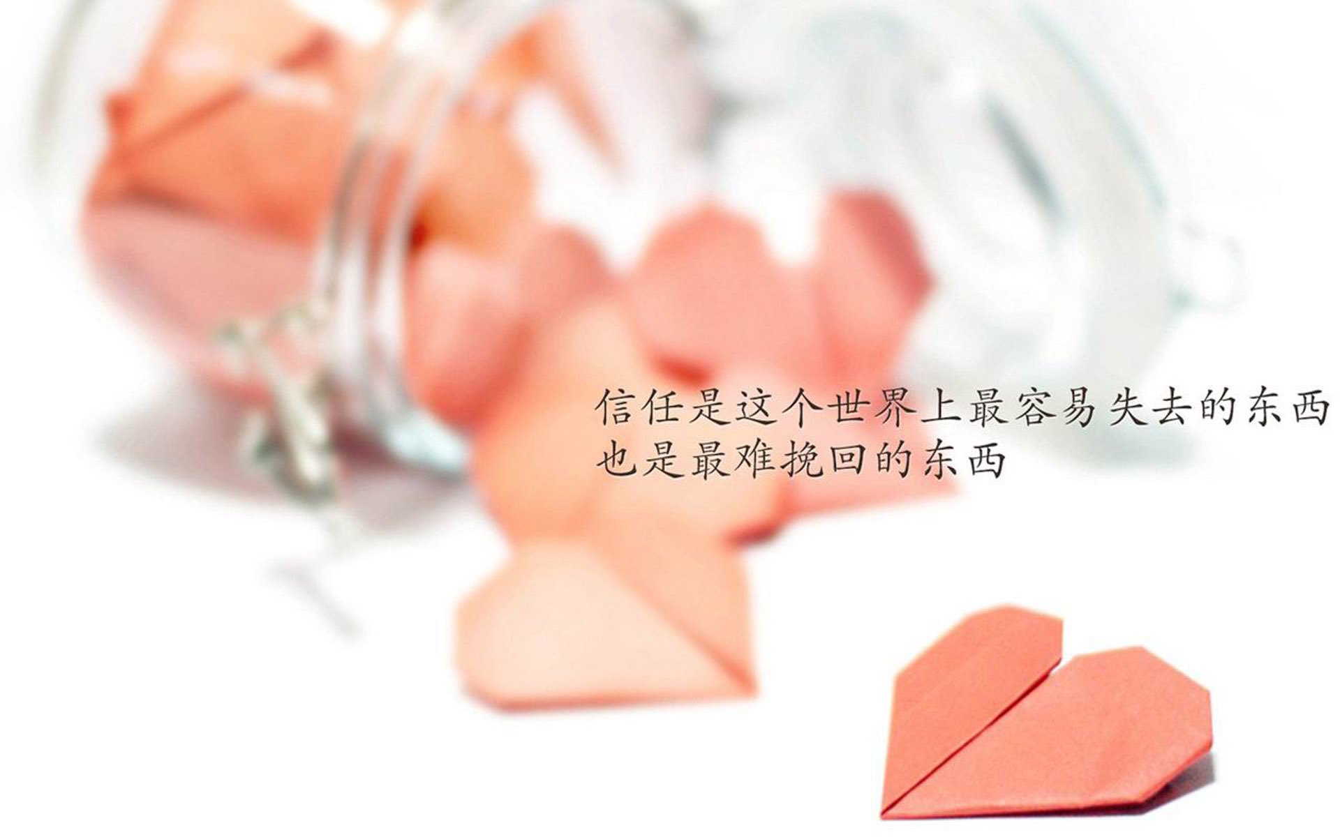逆风之刃，当默契成为唯一的信仰—记2026世界杯F组美葡巅峰对决