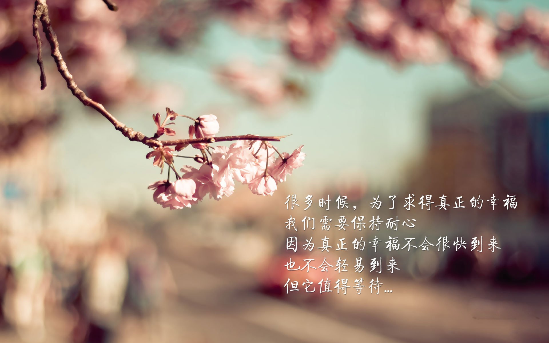 一厘米的永恒，2026世界杯F组，瑞士绝杀葡萄牙，吉鲁的脚尖与门神的叹息